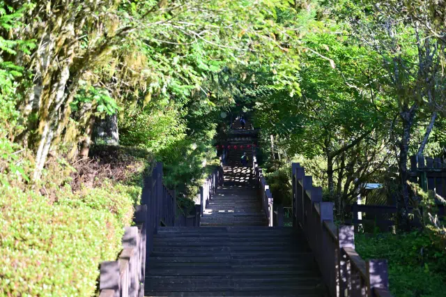 太平山莊・中央階梯
