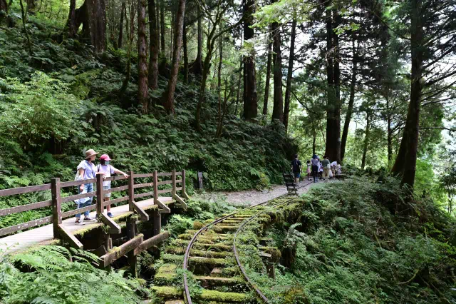 見晴懷古步道